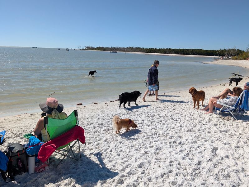 Fort Myers Dog Beach, Fort Myers Beach