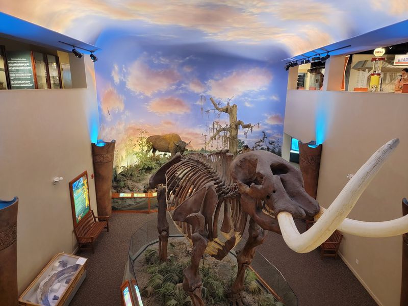 Fossils, Meteorites, and Ancient Wonders Fossils, Meteorites, and Ancient Wonders