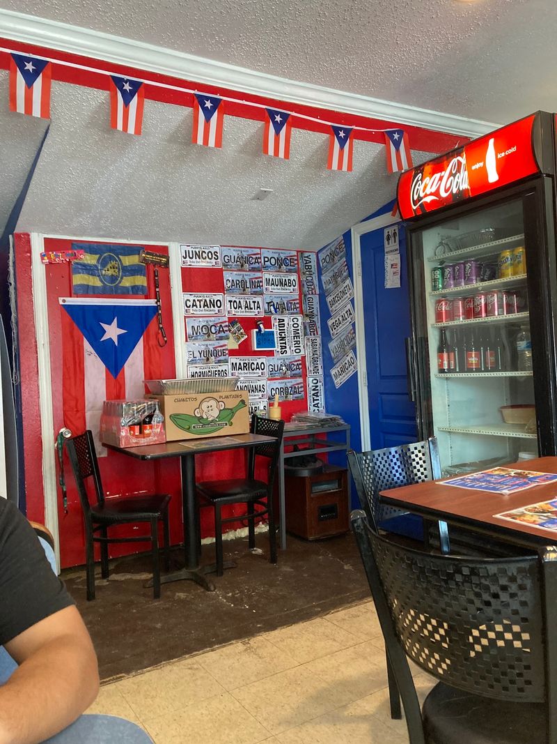 Four Decades of Island Roots