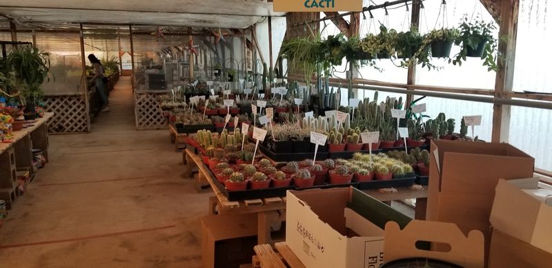 Free Potting And Boxes For The Ride Home Free Potting And Boxes For The Ride Home