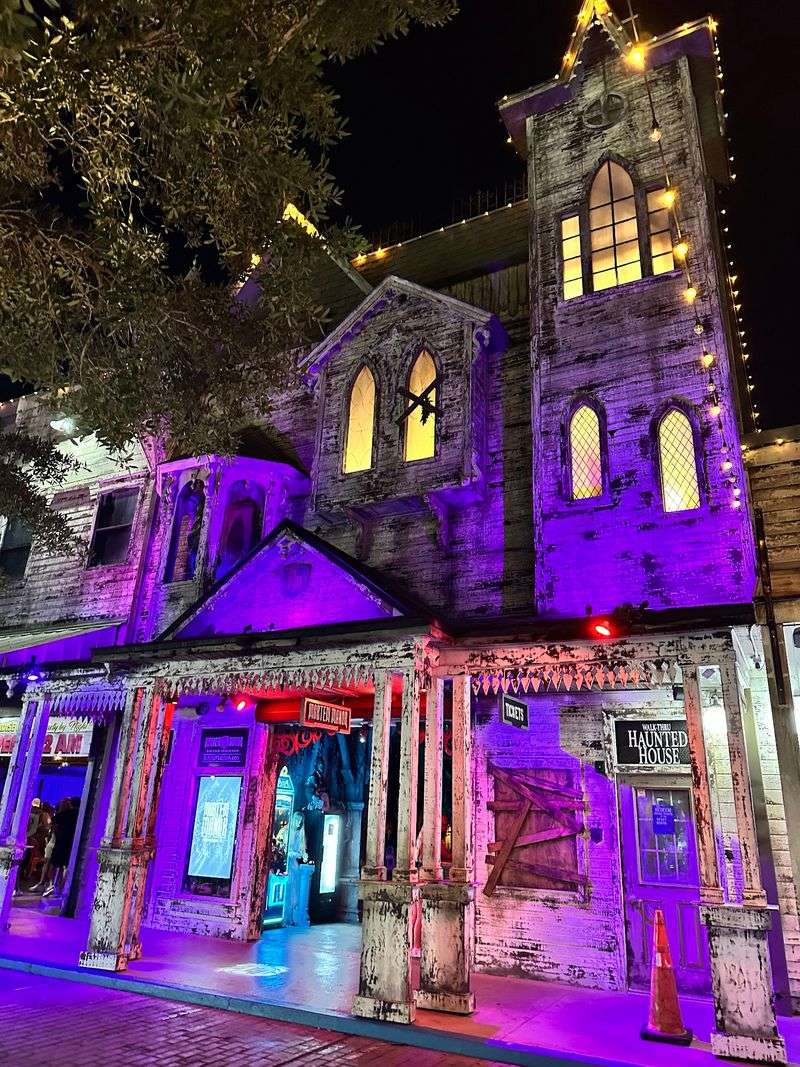 Fright and Fun at the Haunted House