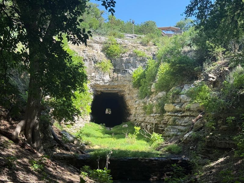 From Train Tracks to Bat Hotel