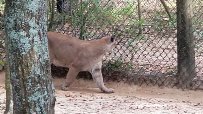 Getting Up Close With Animal Encounters