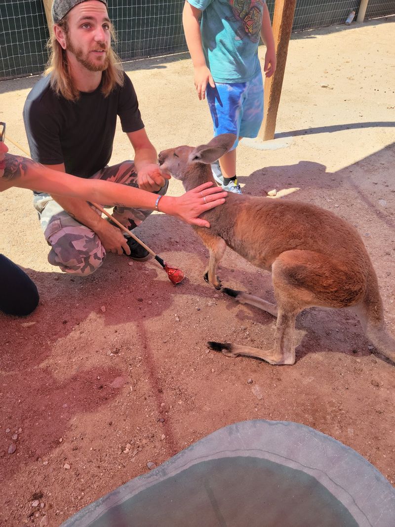 Guides Who Know Every Animal By Name Guides Who Know Every Animal By Name