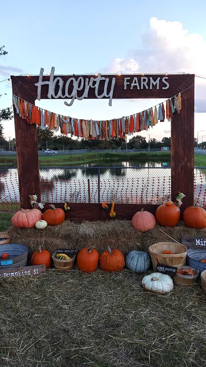 Hagerty Farms Pumpkin Patch, Oviedo, FL Hagerty Farms Pumpkin Patch, Oviedo, FL