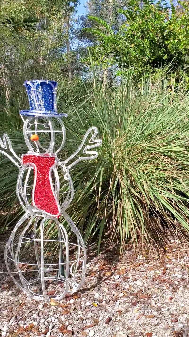 Halloween and Holiday Lights Bring People Back Halloween and Holiday Lights Bring People Back