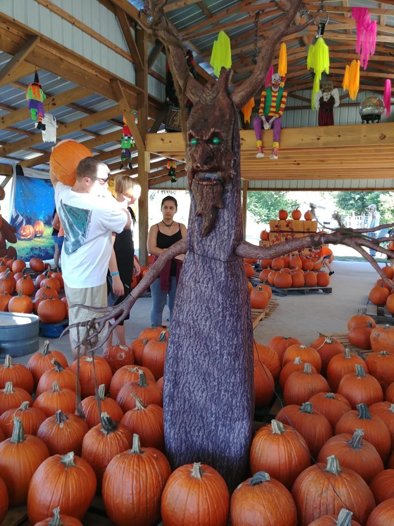 HarvestMoon Fun Farm, Masaryktown, FL HarvestMoon Fun Farm, Masaryktown, FL