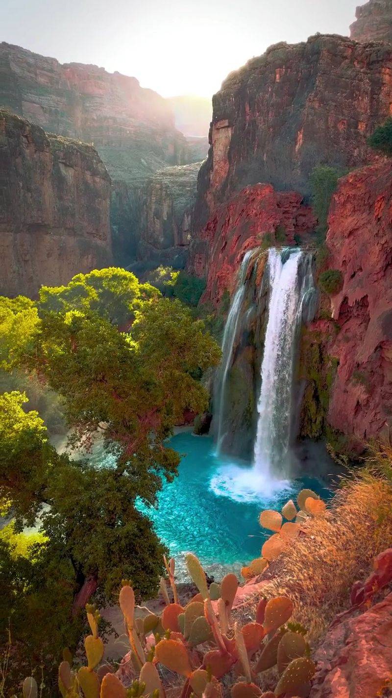 Havasu Falls Havasu Falls