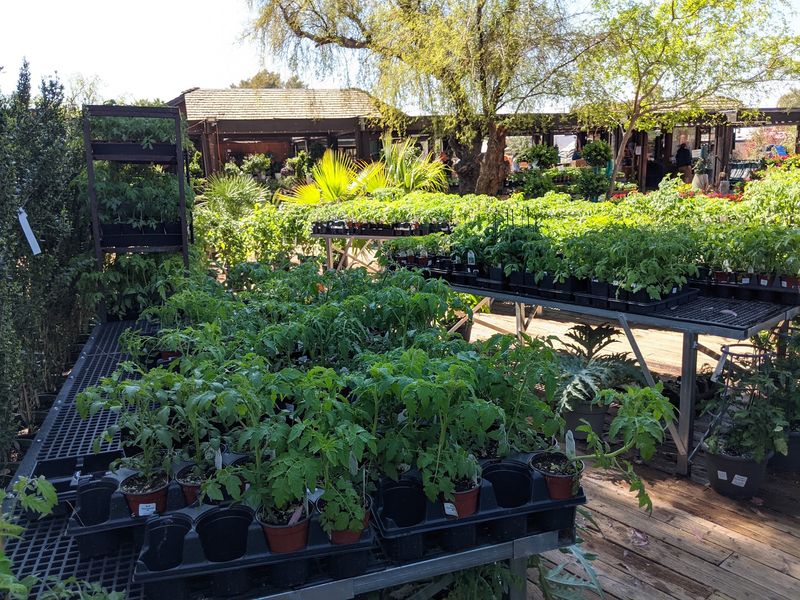 Herbs, Veggies, and Fruit for the Backyard Grower