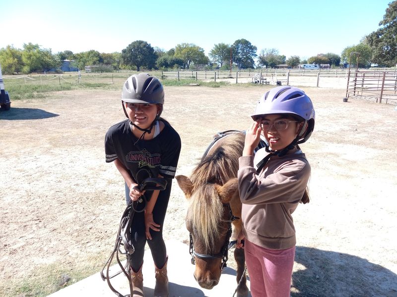 Horse Sense Beyond the Saddle Horse Sense Beyond the Saddle