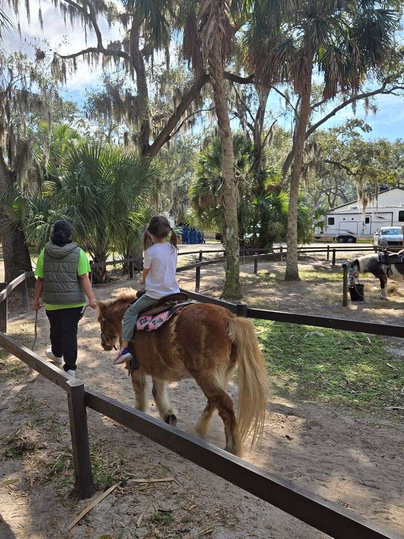 HorsePower for Kids & Animal Sanctuary, Tampa, FL