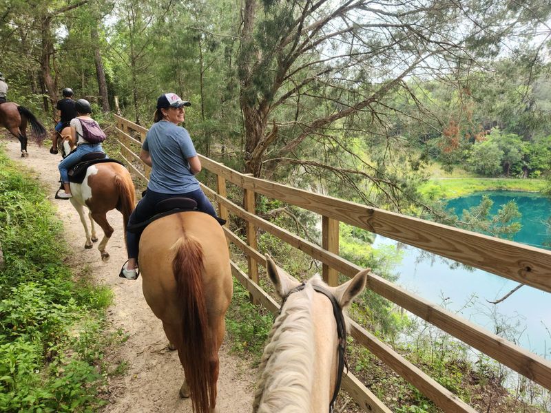 Horses, Kayaks, and Options for Everyone