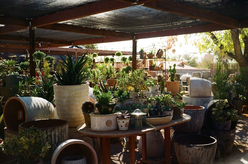 Hours, Prices, and Know-Before-You-Go Tips