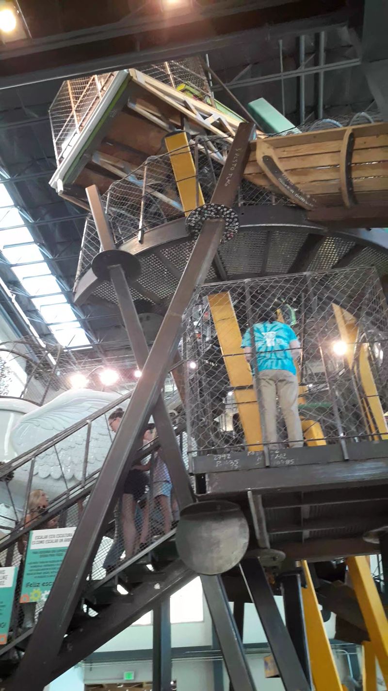 Inside the Tree House and the Noodle Forest