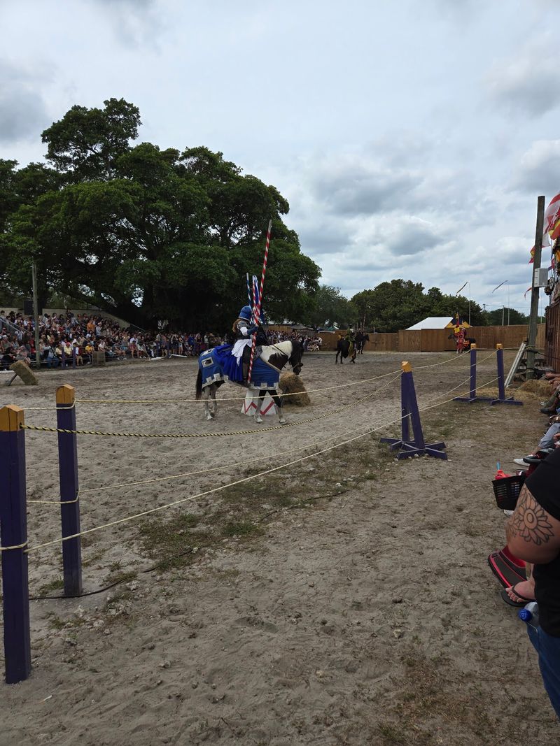 Jousting, Cannons, and Knights on Horseback