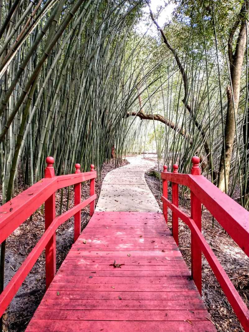 Kanapaha Botanical Gardens, Gainesville, FL