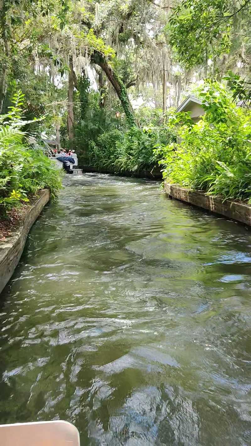 Kayaking Through a Green Corridor