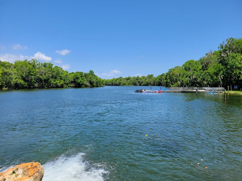 Kayaks, Paddle Boards, and Marsh Trails Kayaks, Paddle Boards, and Marsh Trails