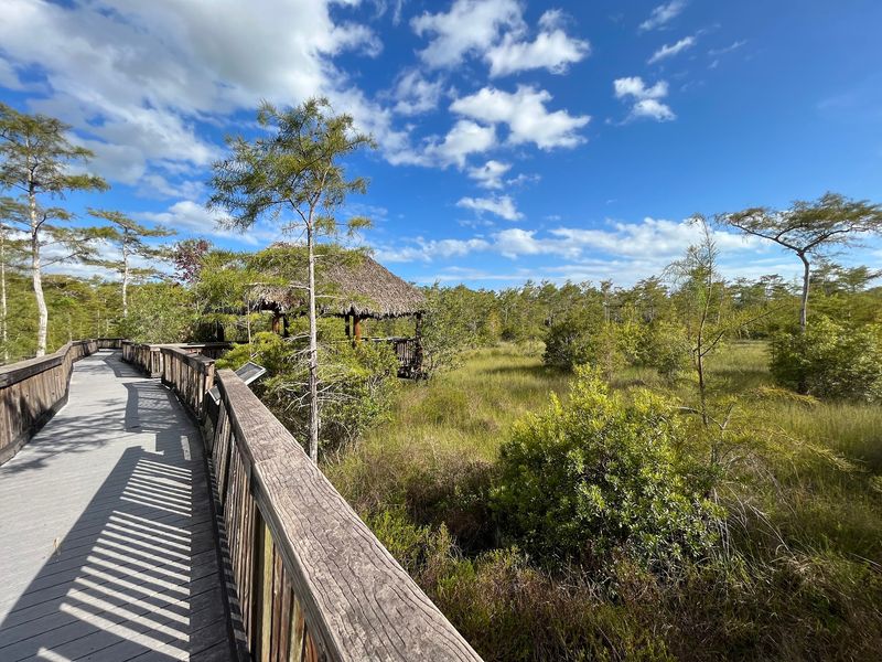 Kirby Storter Roadside Park, Ochopee, FL