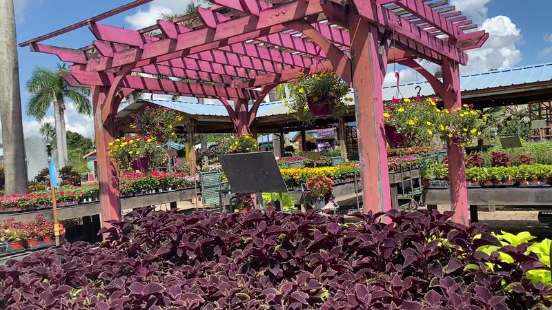 Landscaping Help And In-Home Consultations