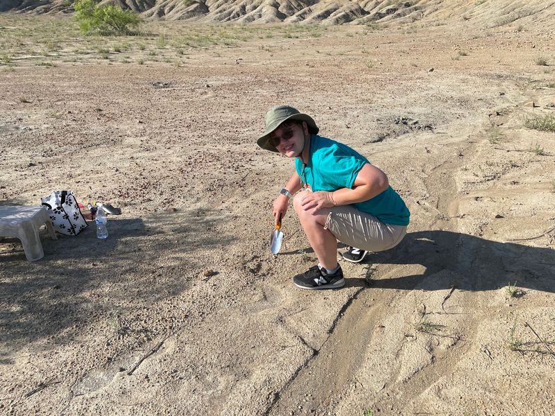 Less Playground, More Prehistoric Treasure Map