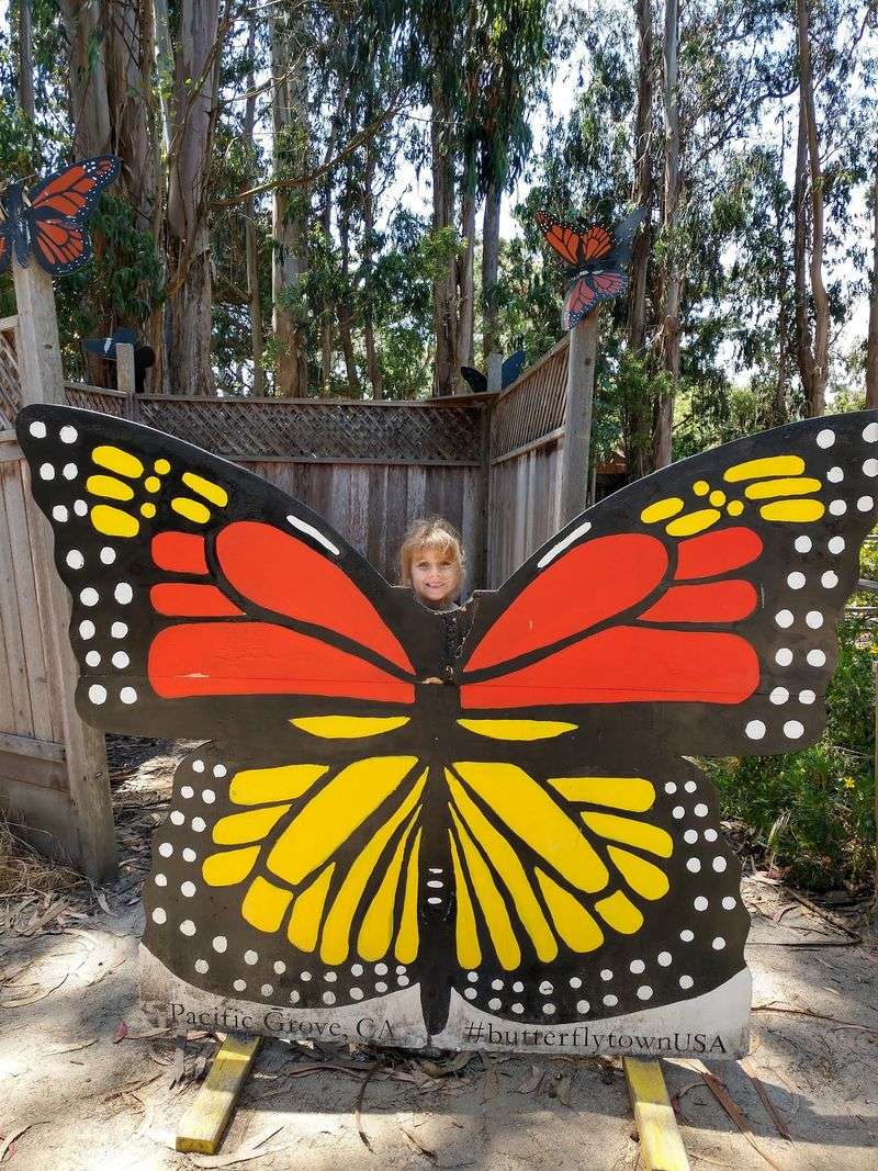 Little Explorers Welcome