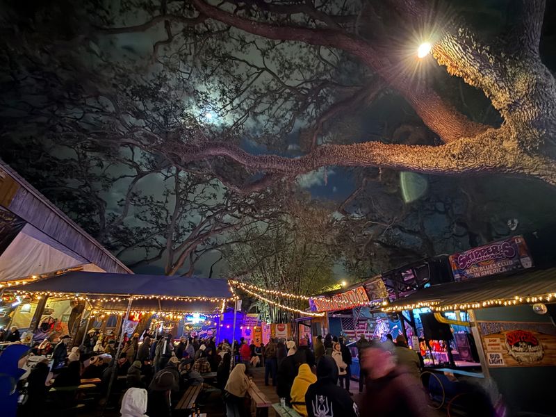 Live Music Under the Old Oaks