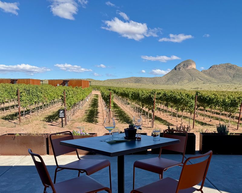 Los Milics Vineyards, Elgin, AZ