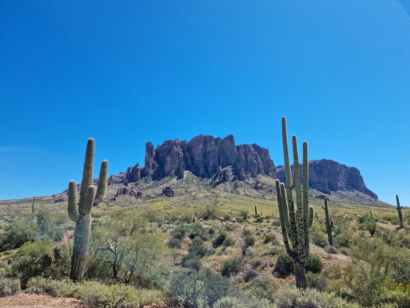 Lost Dutchman State Park, Apache Junction, AZ Lost Dutchman State Park, Apache Junction, AZ