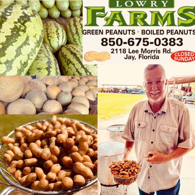 Lowry Farms, Jay, FL
