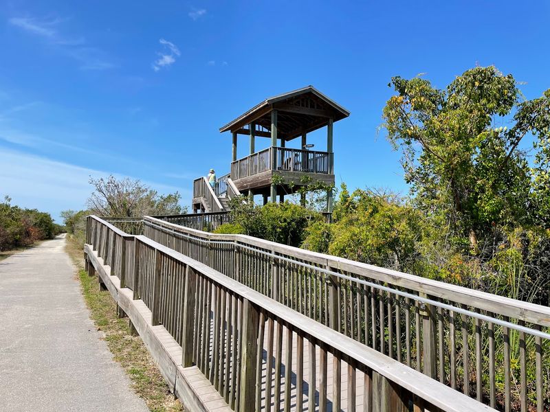 Marsh Trail - Ten Thousand Islands NWR, Naples, FL Marsh Trail - Ten Thousand Islands NWR, Naples, FL