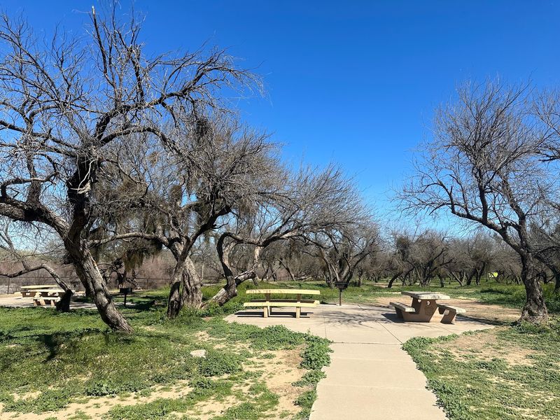 Mesquite Shade and a Place to Unpack Lunch