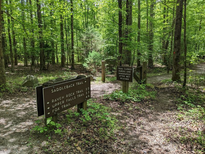 Miles Of Trails For Every Skill Level