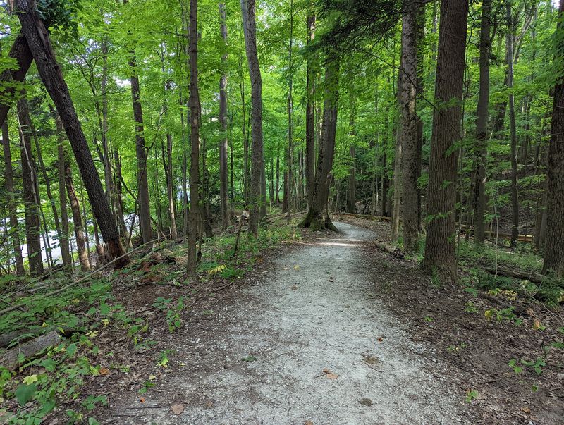 Miles of Trails for Every Skill Level