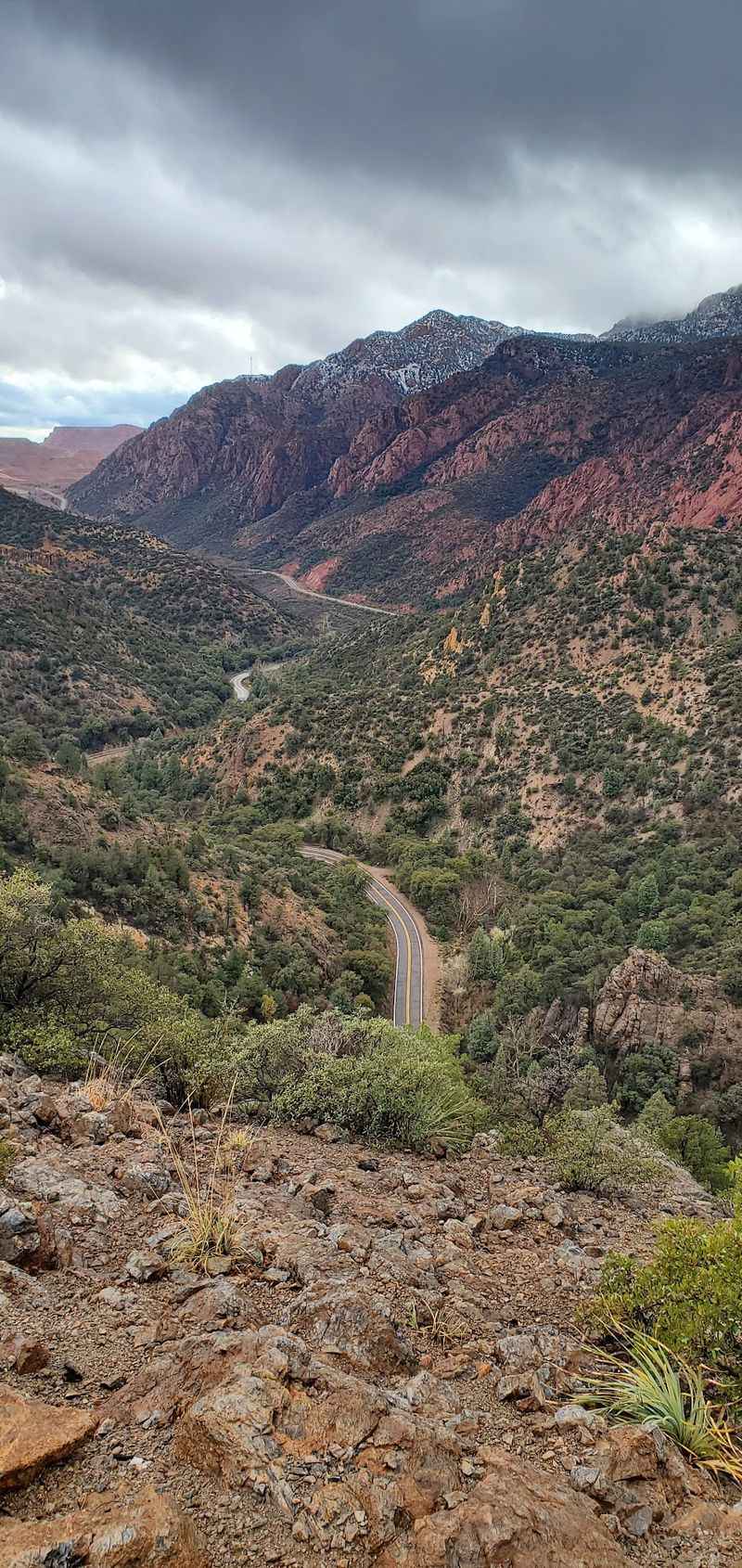 Mountains, Trees, And Copper-Colored Bark Mountains, Trees, And Copper-Colored Bark