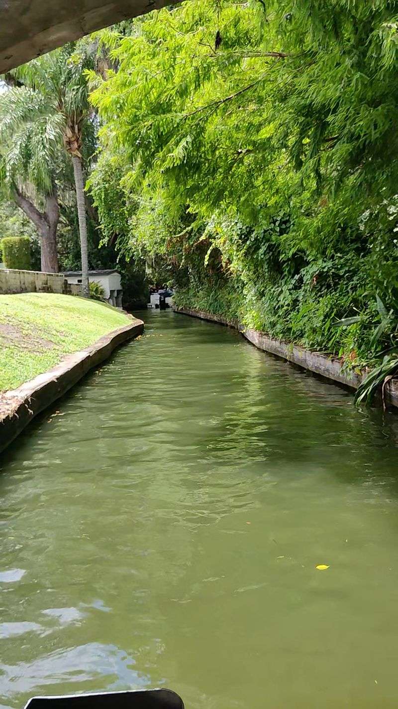 Nature So Close to the City