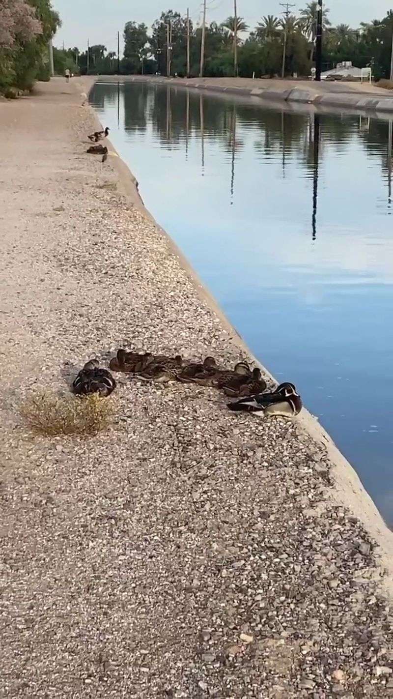Nature's Food Chain in Action Nature's Food Chain in Action