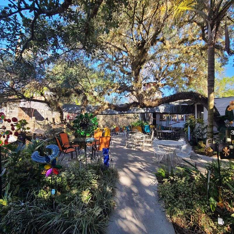 Oak Shade, Open Grounds and Free Music