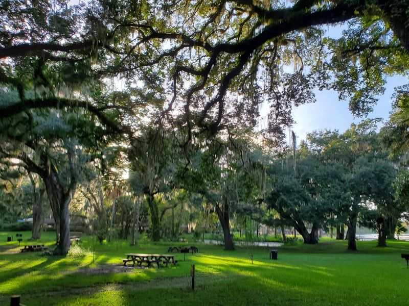 Oak-Shaded Lawns Built for Spreading Out Oak-Shaded Lawns Built for Spreading Out