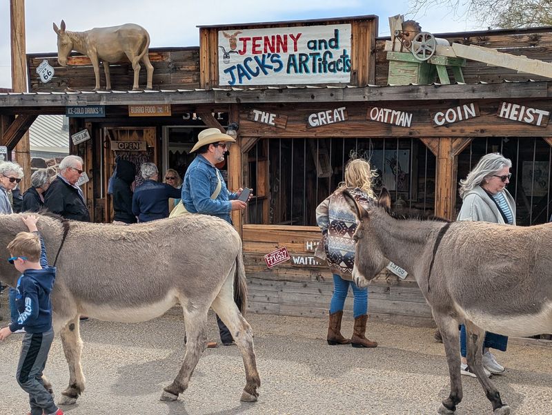 Oatman AZ, Oatman, AZ Oatman AZ, Oatman, AZ