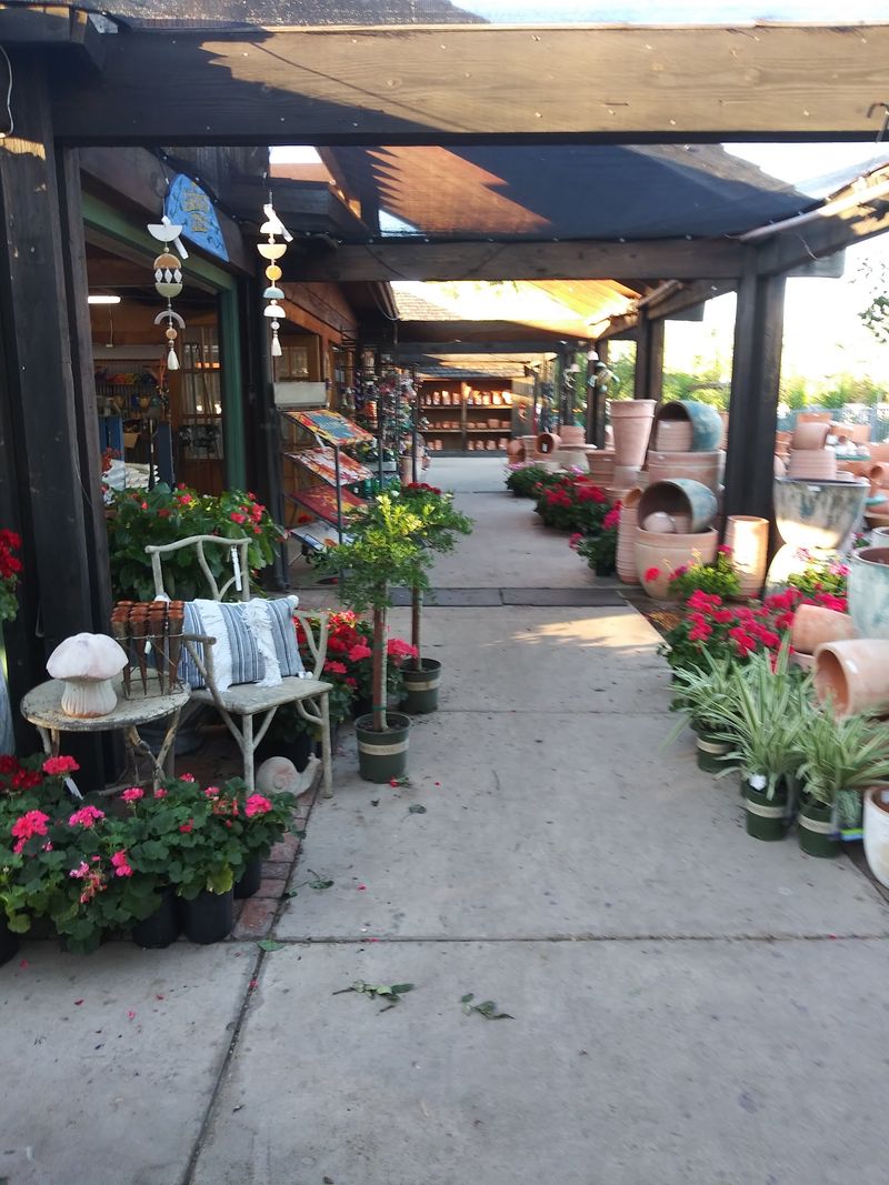 Old Roots and Local Ownership