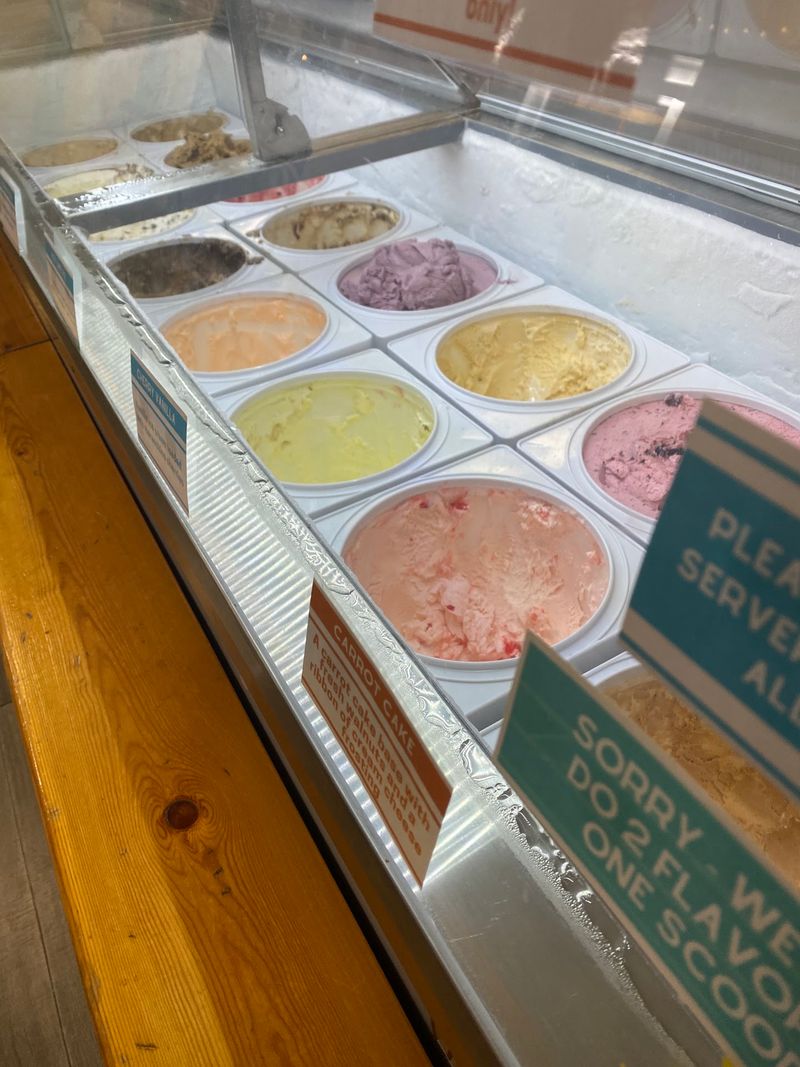 Options for Every Kind of Ice Cream Fan Options for Every Kind of Ice Cream Fan