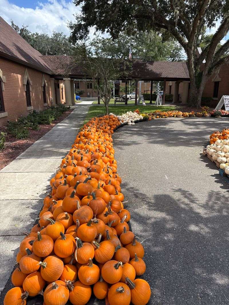 Orange Park Methodist Church Pumpkin Patch, Orange Park, FL