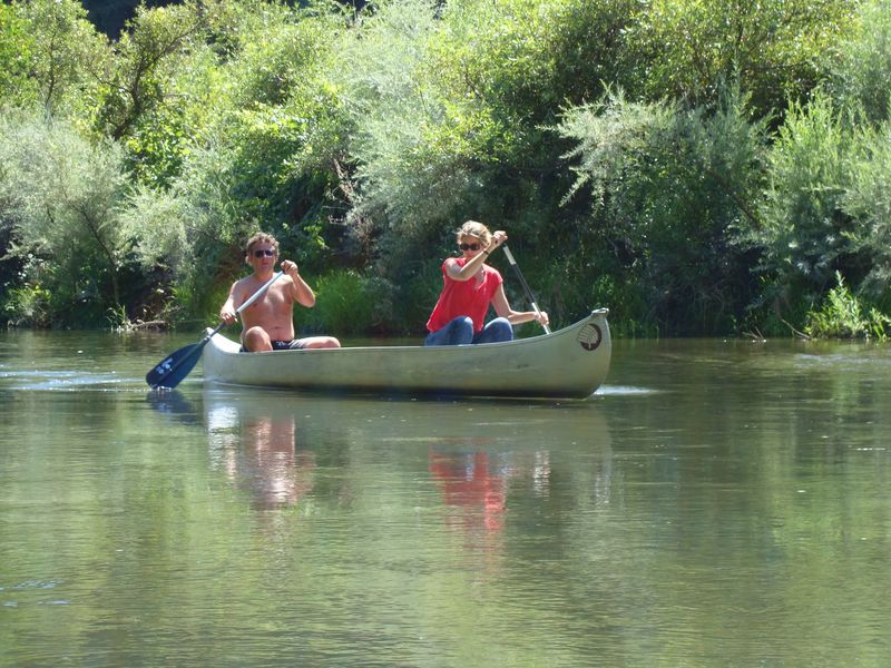 Paddles Up for Kayaks and Canoes
