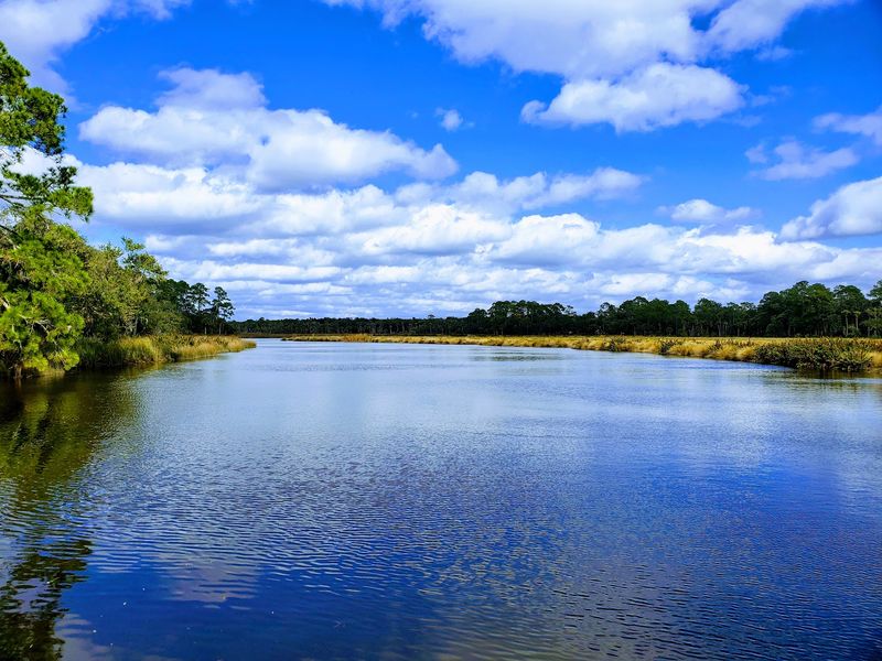 Paddling Bulow Creek