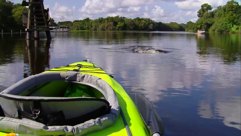 Paddling and Boat Tours on the Spring Run