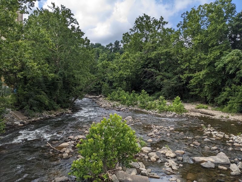 Patapsco River and Scenic Trails