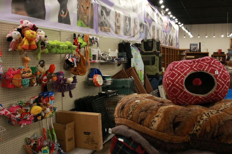 Pet Supplies For Your Own Crew