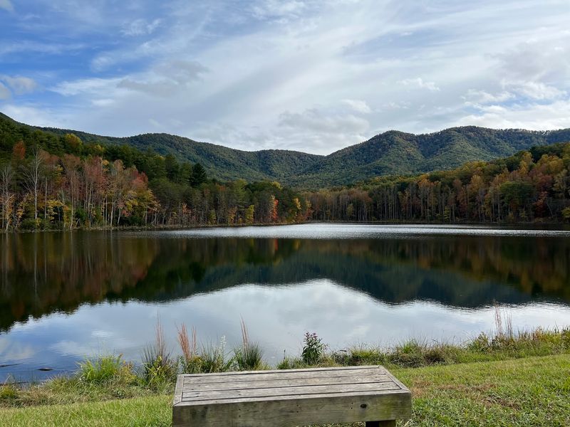 Picnic Areas Made For Lazy Afternoons