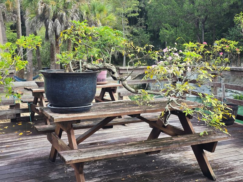 Picnic Tables, Campsites, and a Garden Next Door Picnic Tables, Campsites, and a Garden Next Door